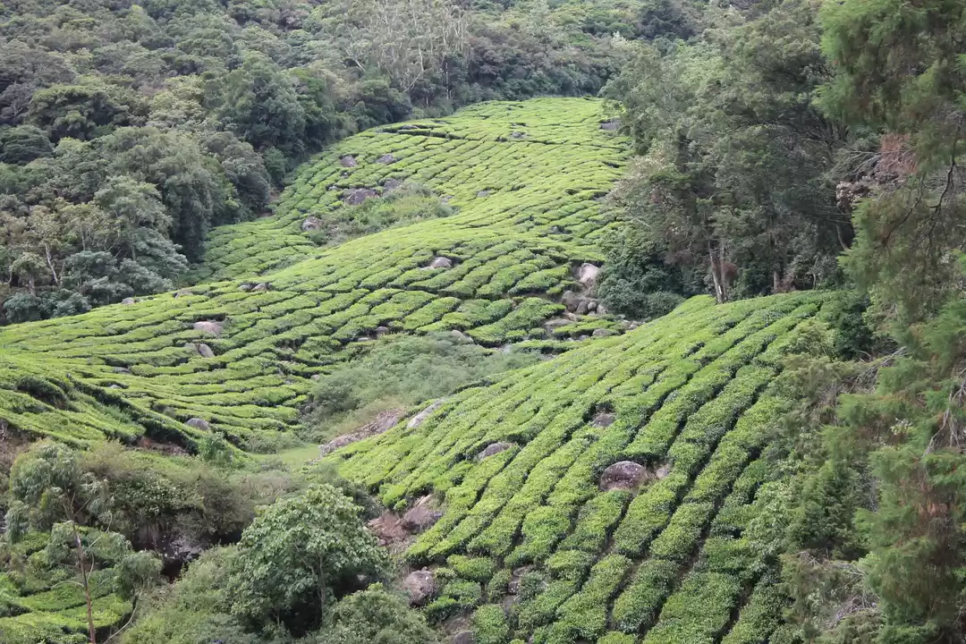 Photo of Movies which inspire