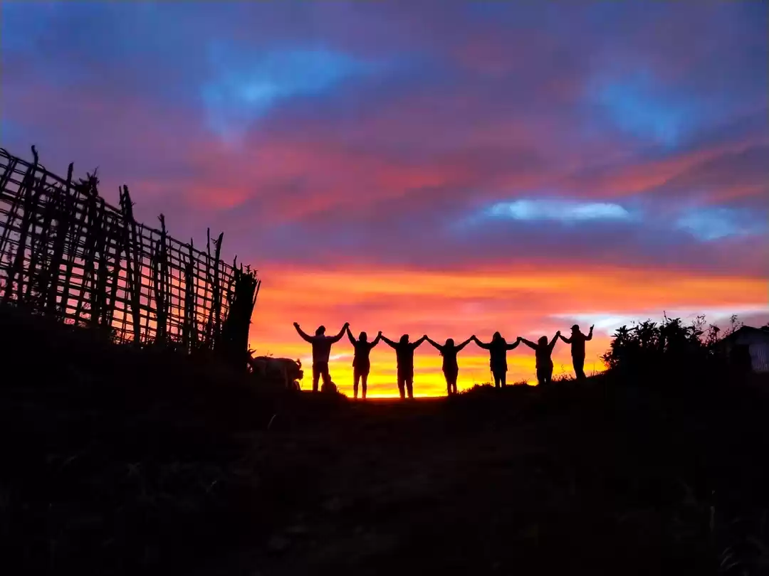 Photo of Colour of Friendship