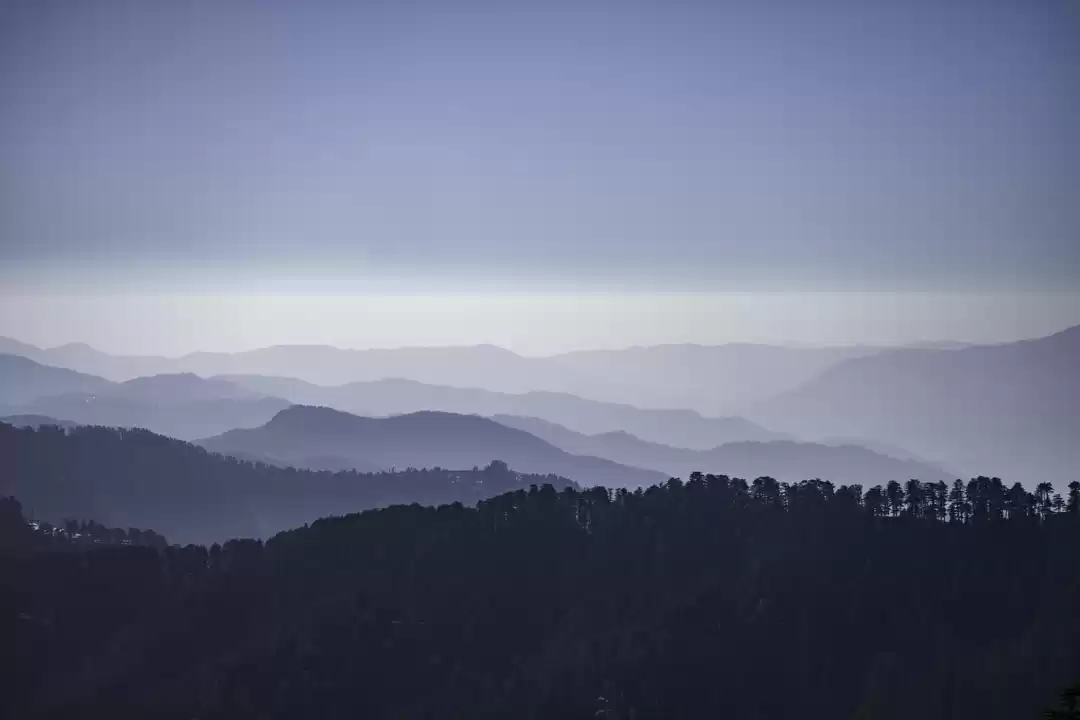 Photo of The Queen of the Hil