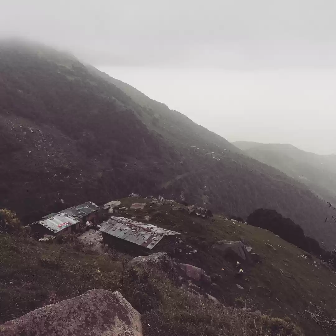 Photo of Where nature takes y