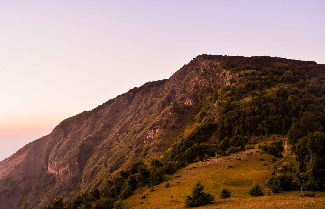 Locals Delight Karol Tibba Trek Solan Tripoto