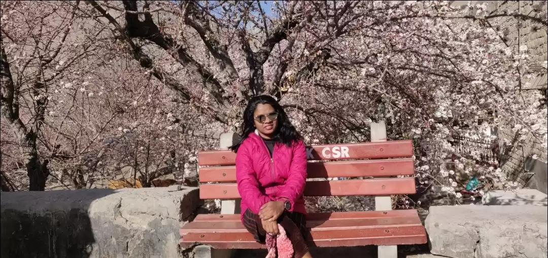 Photo of Spring blossom in Le