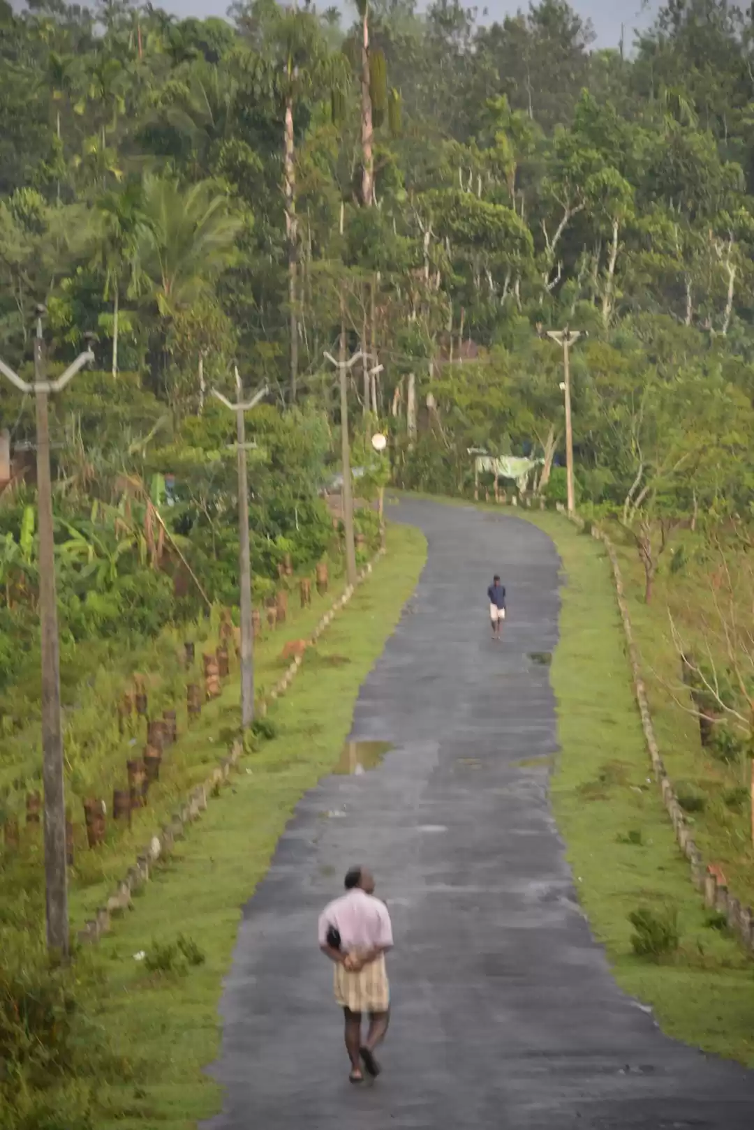 Photo of Weekend at Waynard