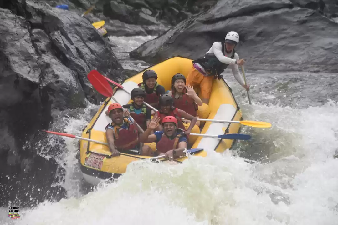 Photo of Wil wild kangaroo la