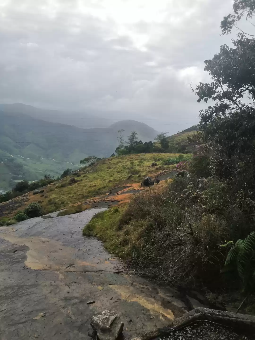Photo of Sahyadri-Western Mou