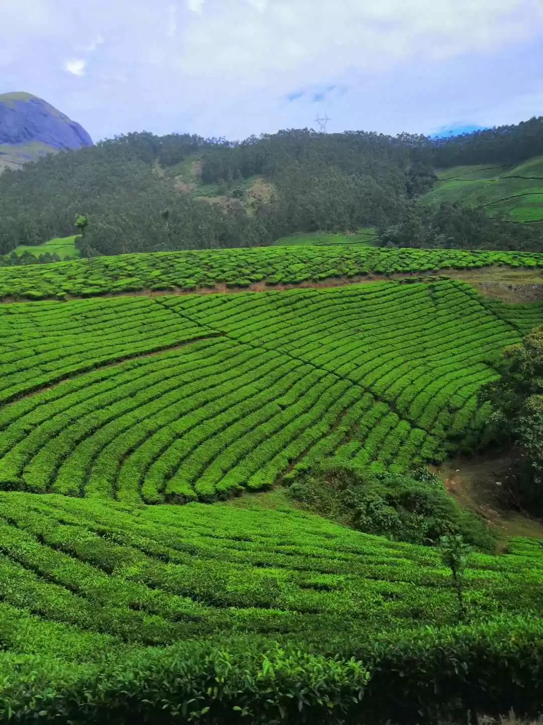 Photo of Scripted adventure b