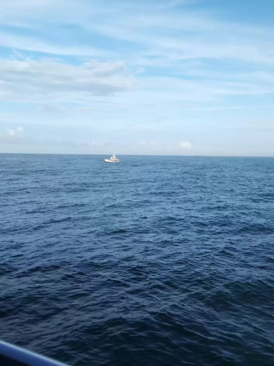 Photo of Whale watching by In