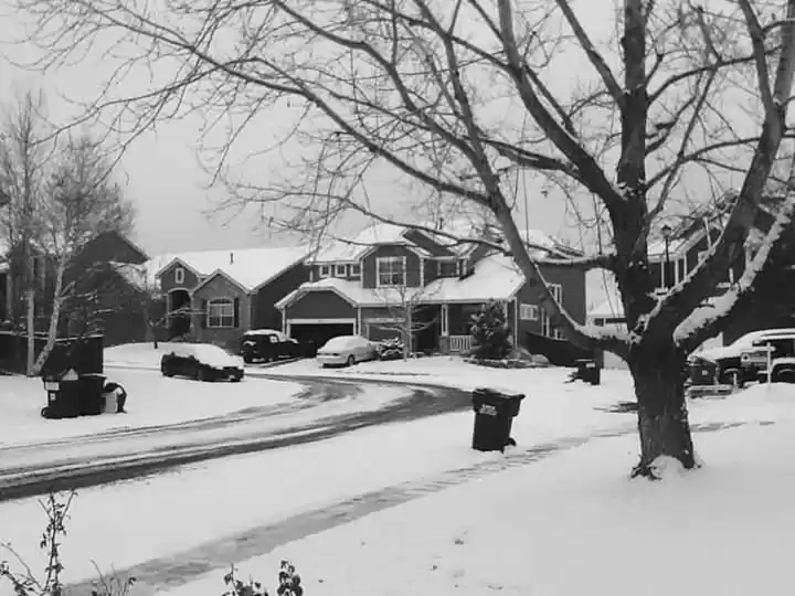 Photo of A baby trip to Color