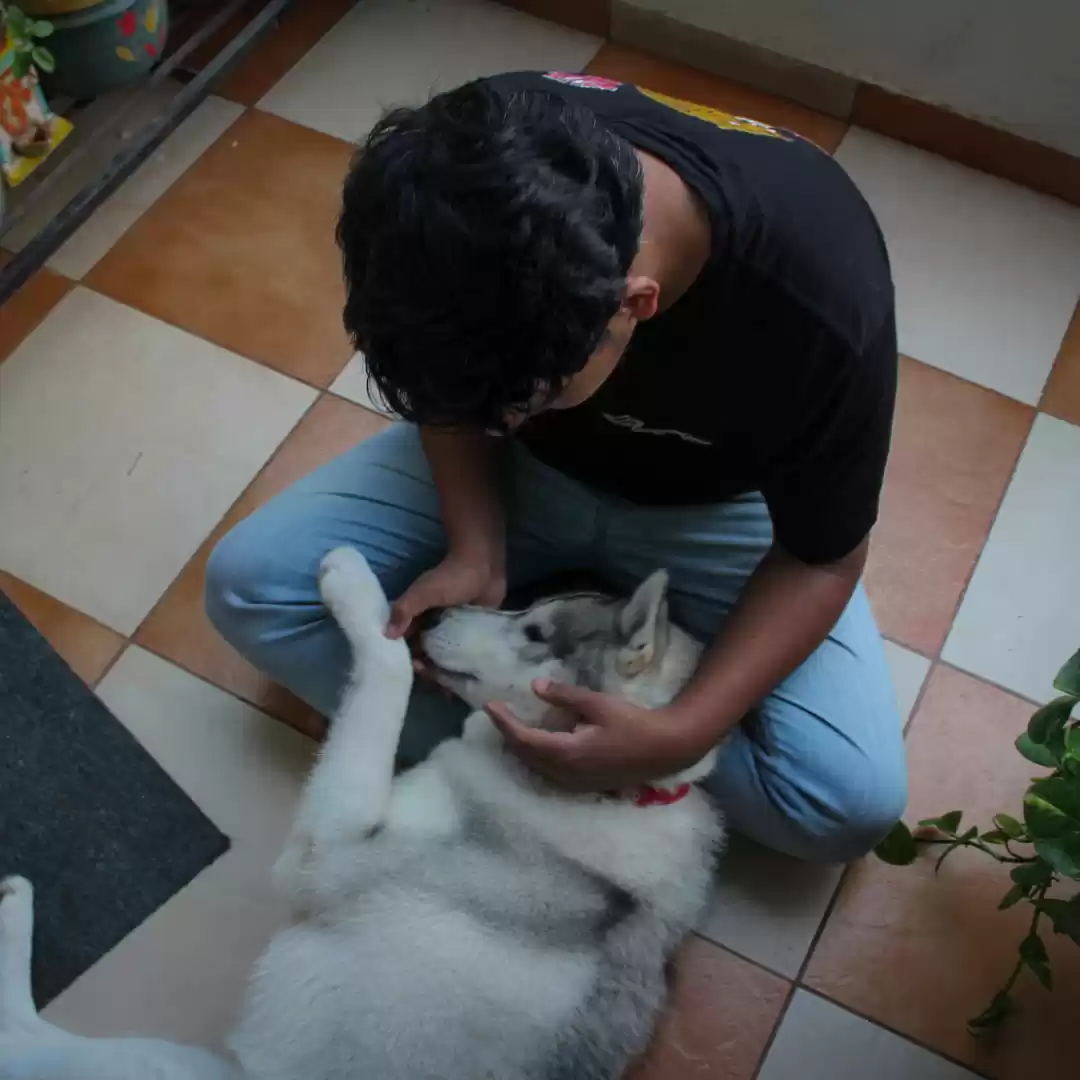 Photo of Divyansh Kapri