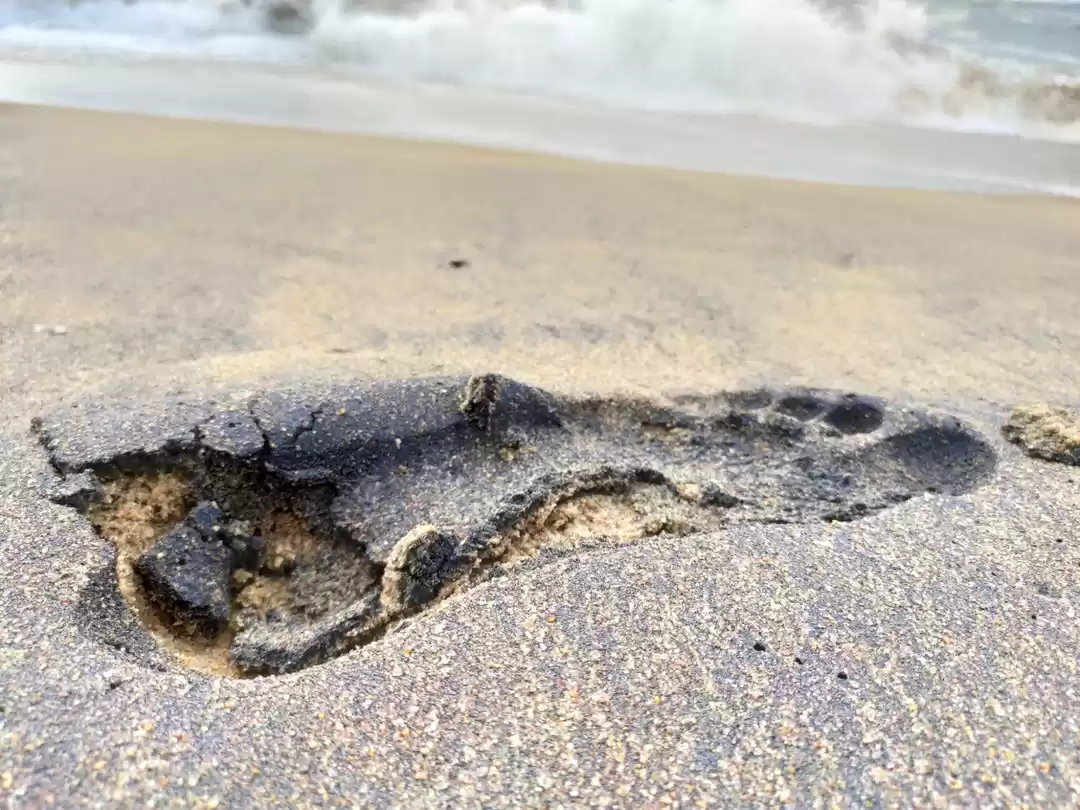 Photo of G O D S O W N C O U 