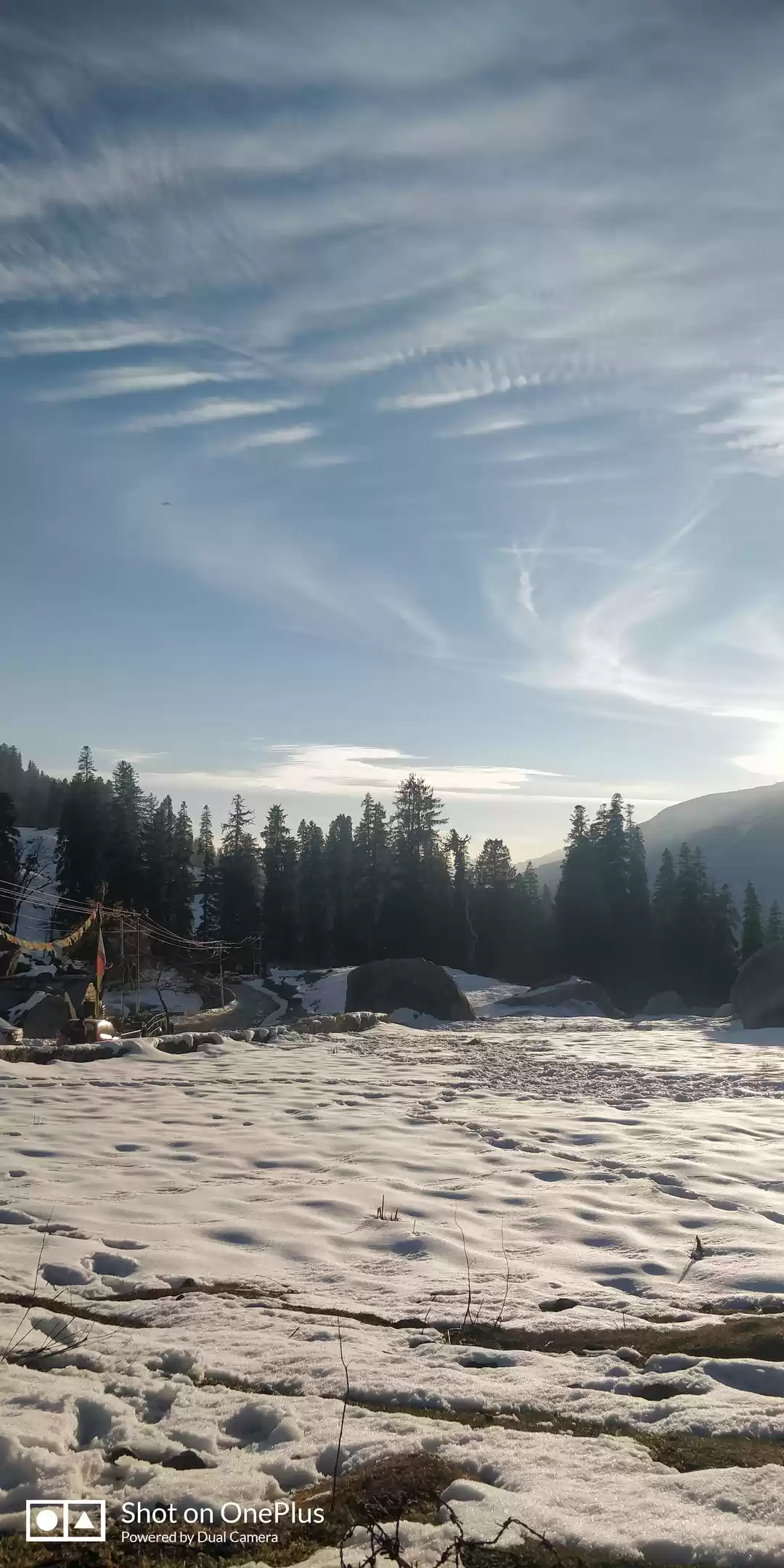 Photo of Affordable STUDYCATI