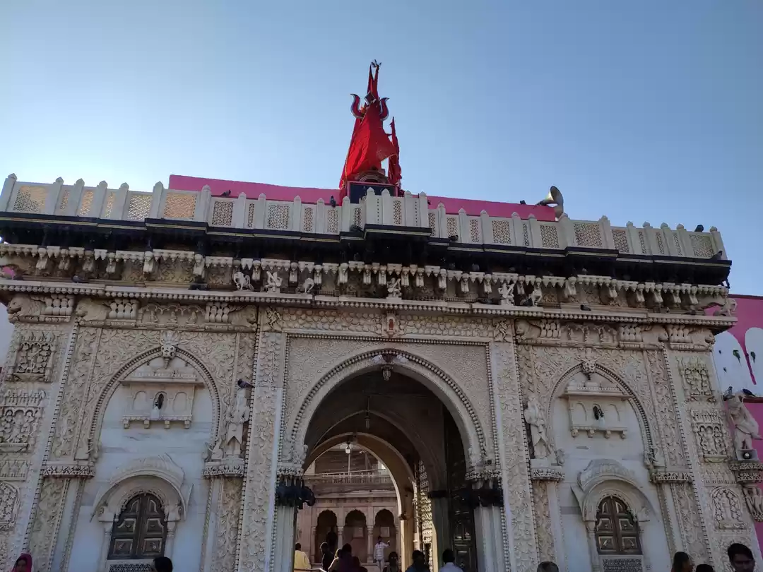 Photo of Deshnok Karni Mata T