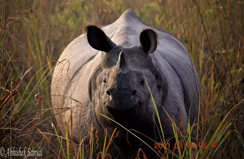 Photo of On trail of the One