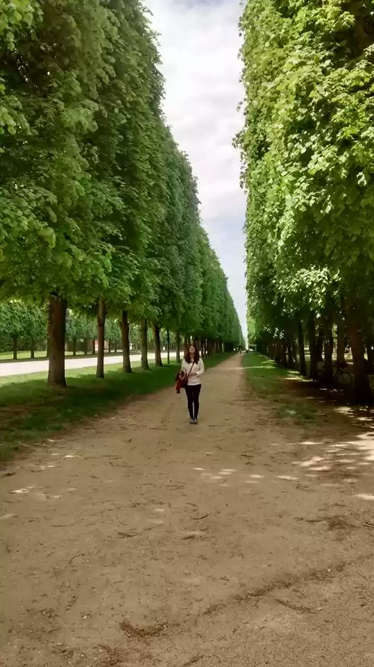 Photo of An organized backpac