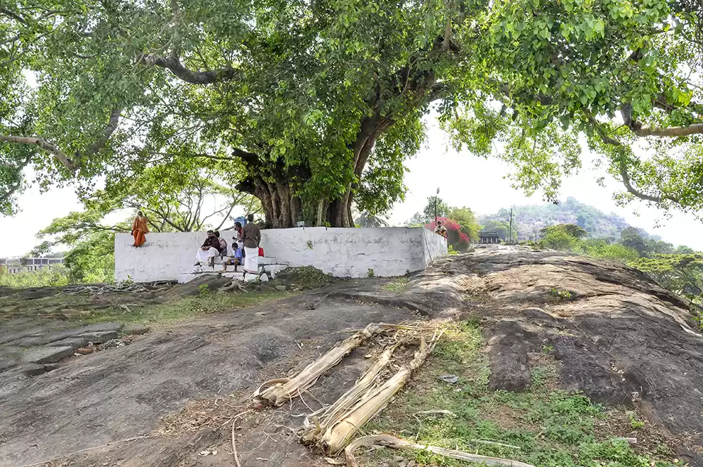 Photo of Vilwadrinath - One o
