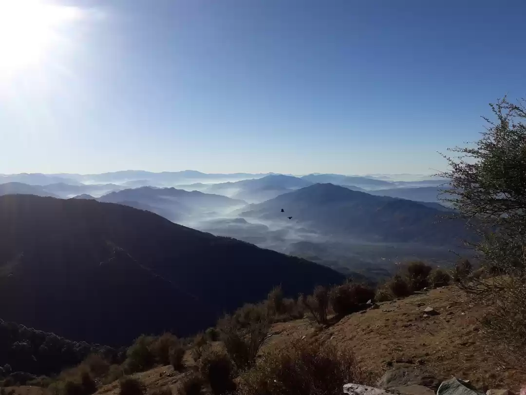 Photo of Wings overcoming fea