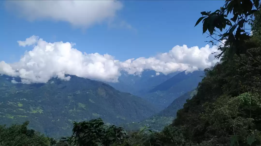 Photo of The realm at zenith