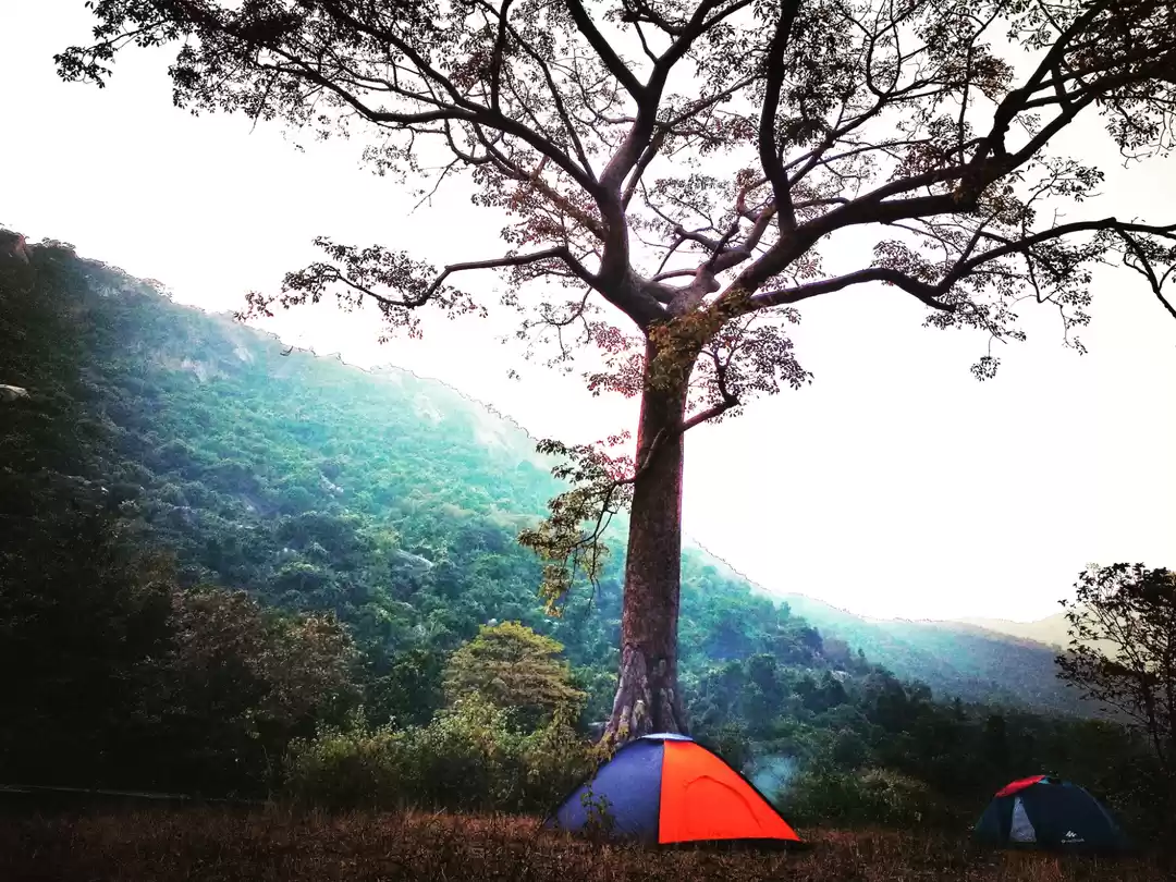 Photo of #Camping , Ajodhya P
