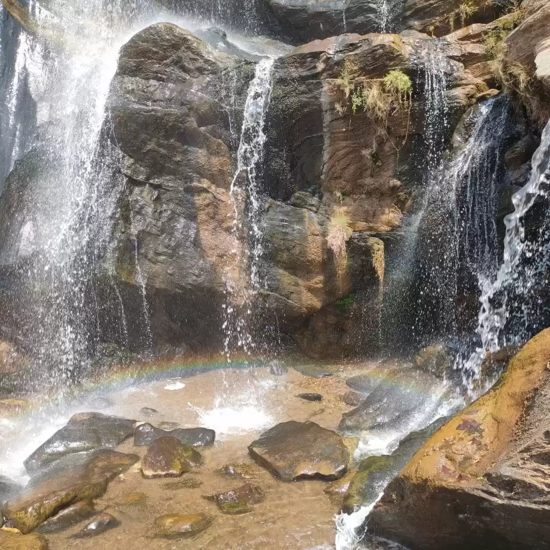 Photo of Ajodhya Bamni False 