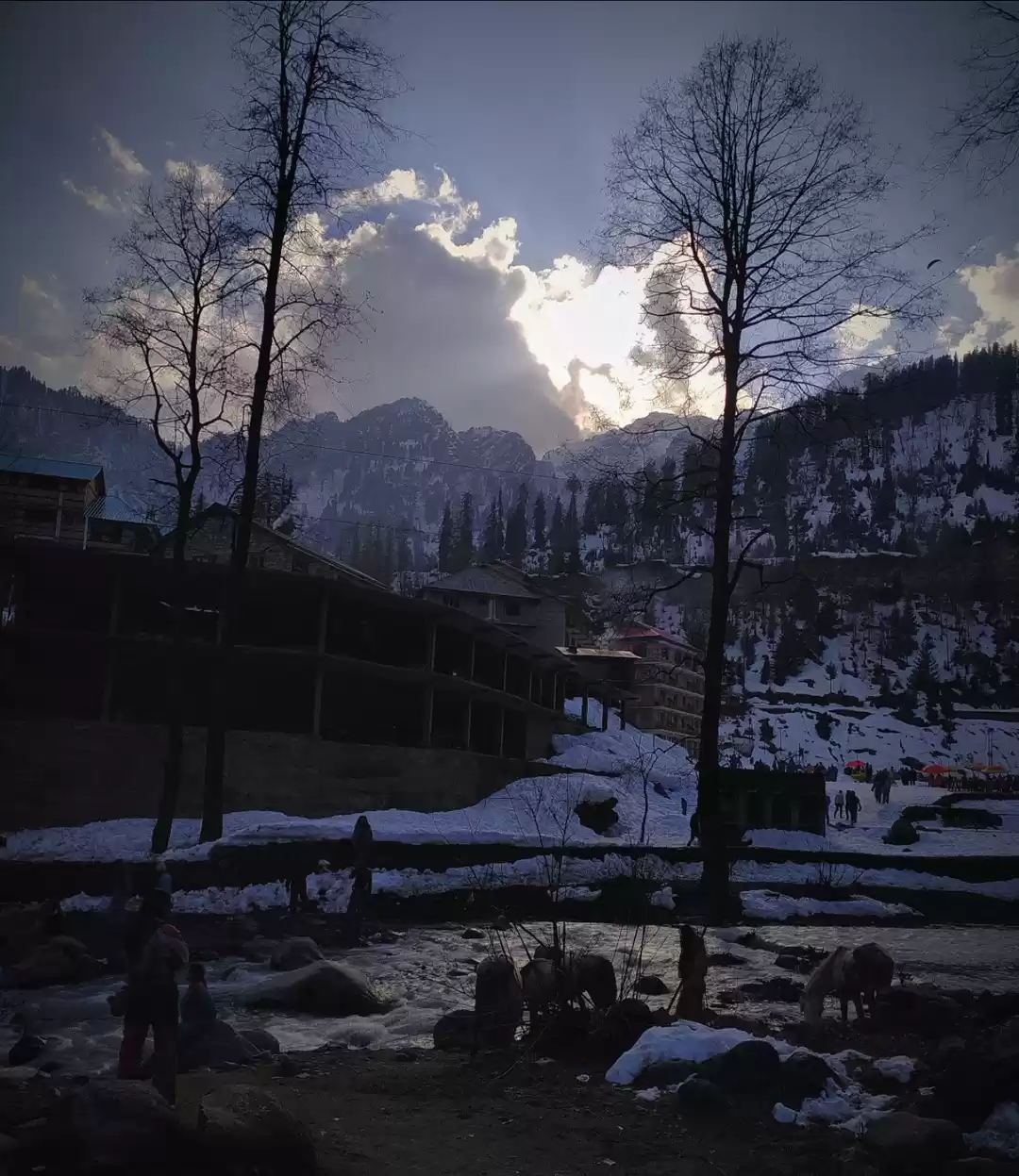 Photo of Himalayan Skyline #B