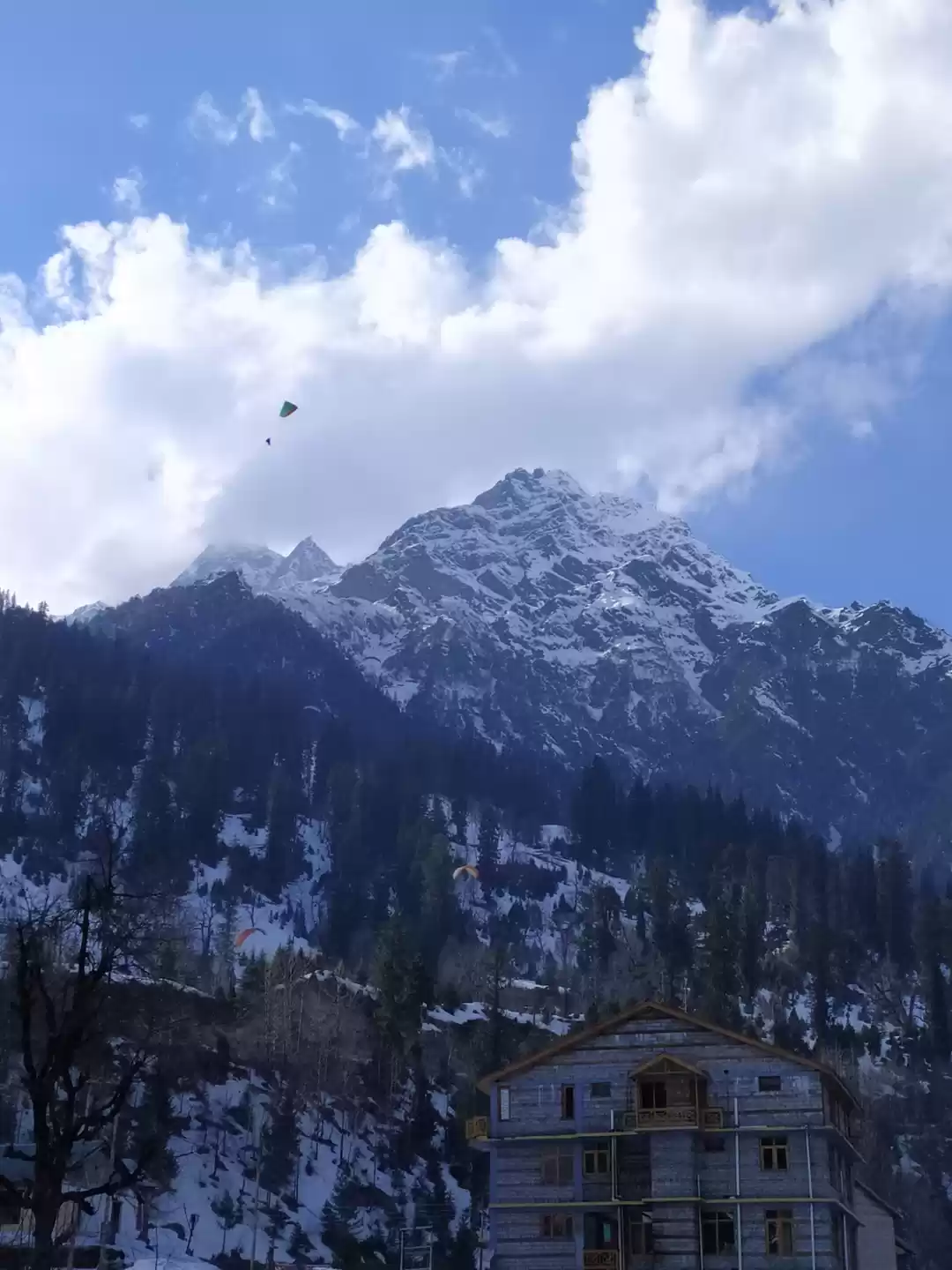 Photo of The first of many fa