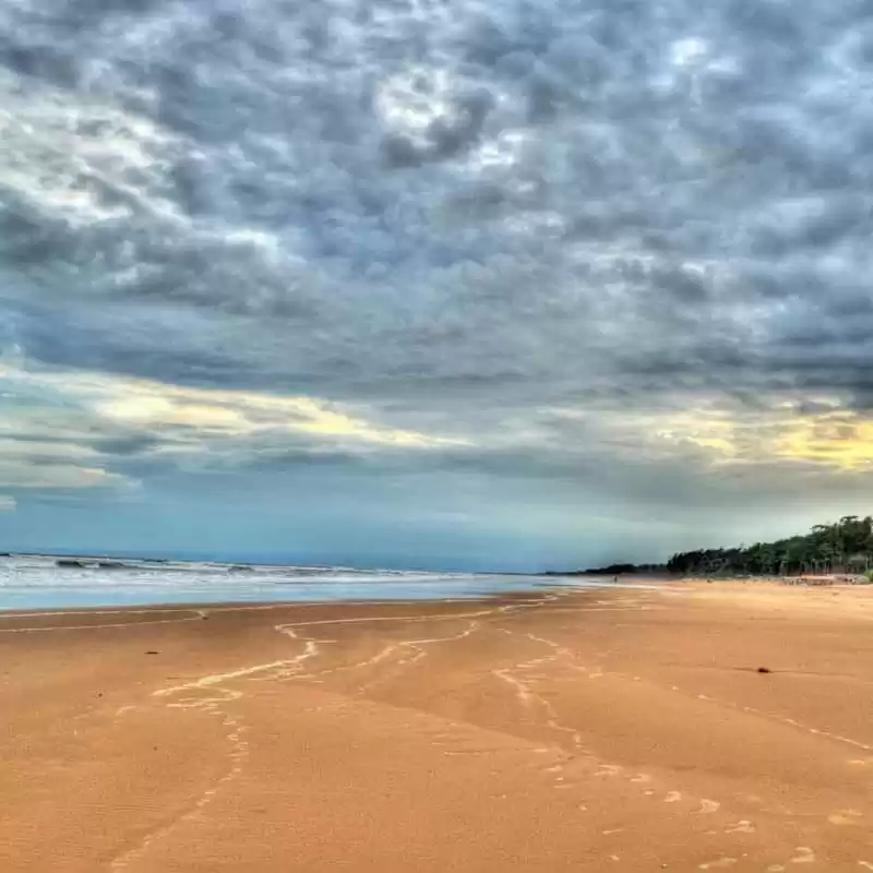 Photo of Wild Goa expedition.