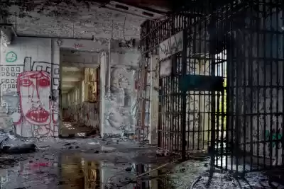 Photo of Wondering makes you 