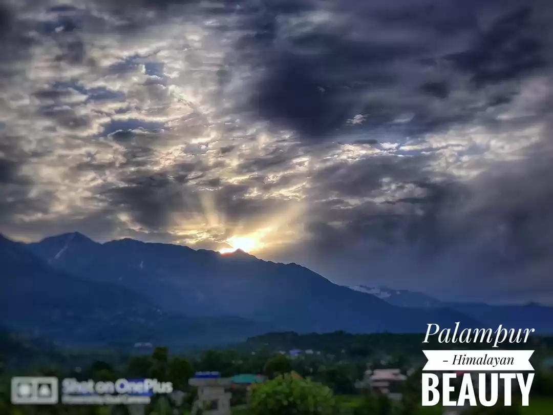 Photo of Palampur - Early mor