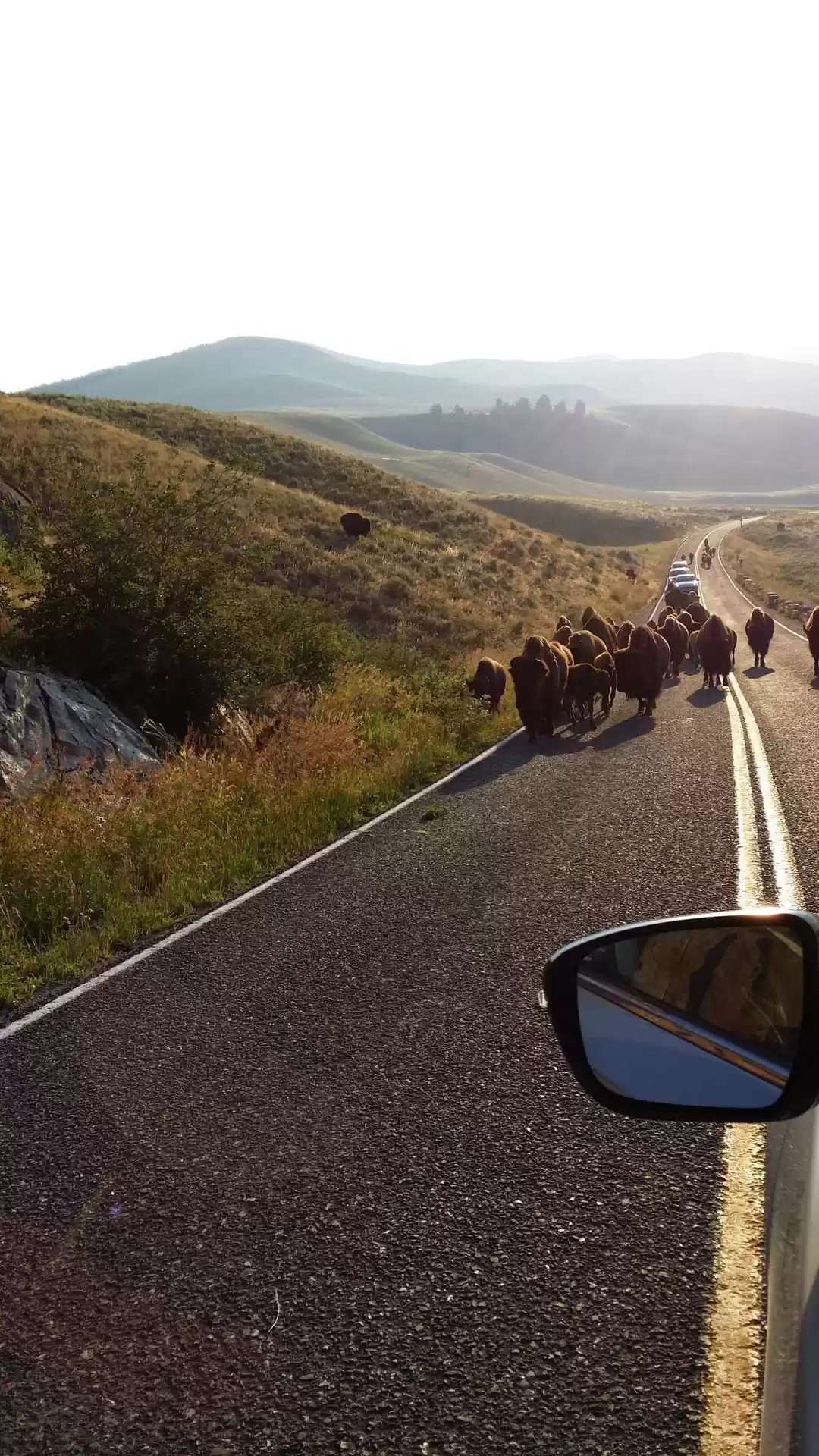 Photo of Yellowstone National