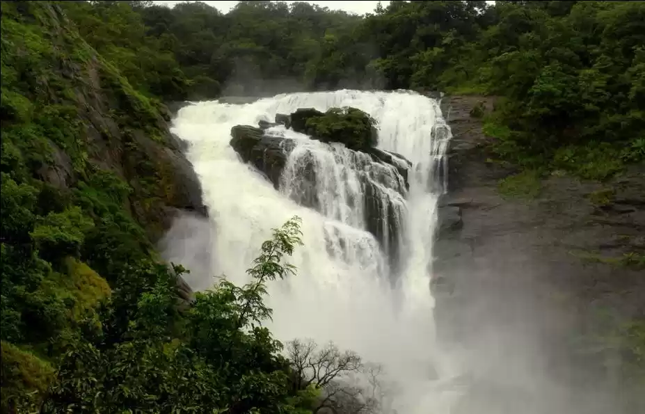 Photo of Magnificent Mallalli