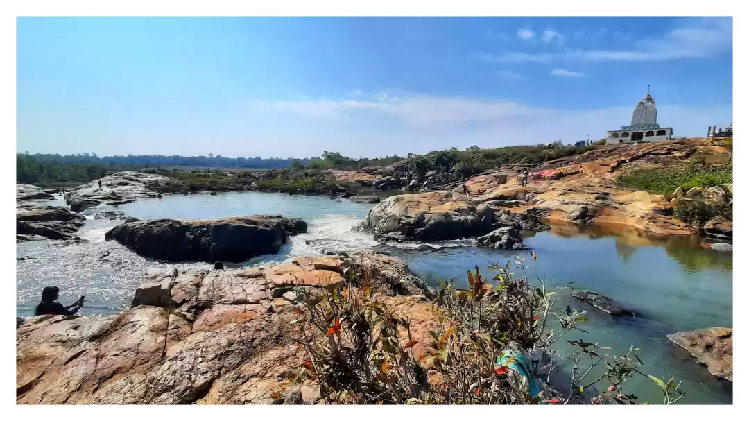 Photo of Only Crocodile Reari