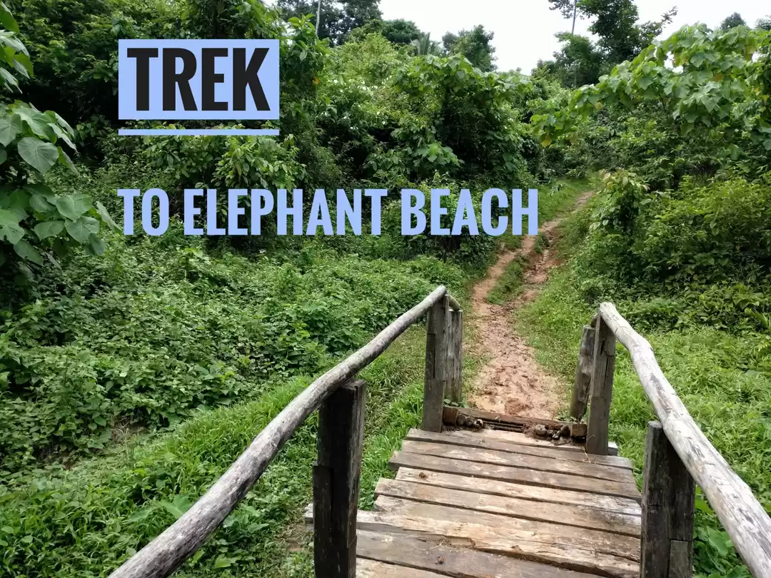 Photo of Trek to Elephant bea