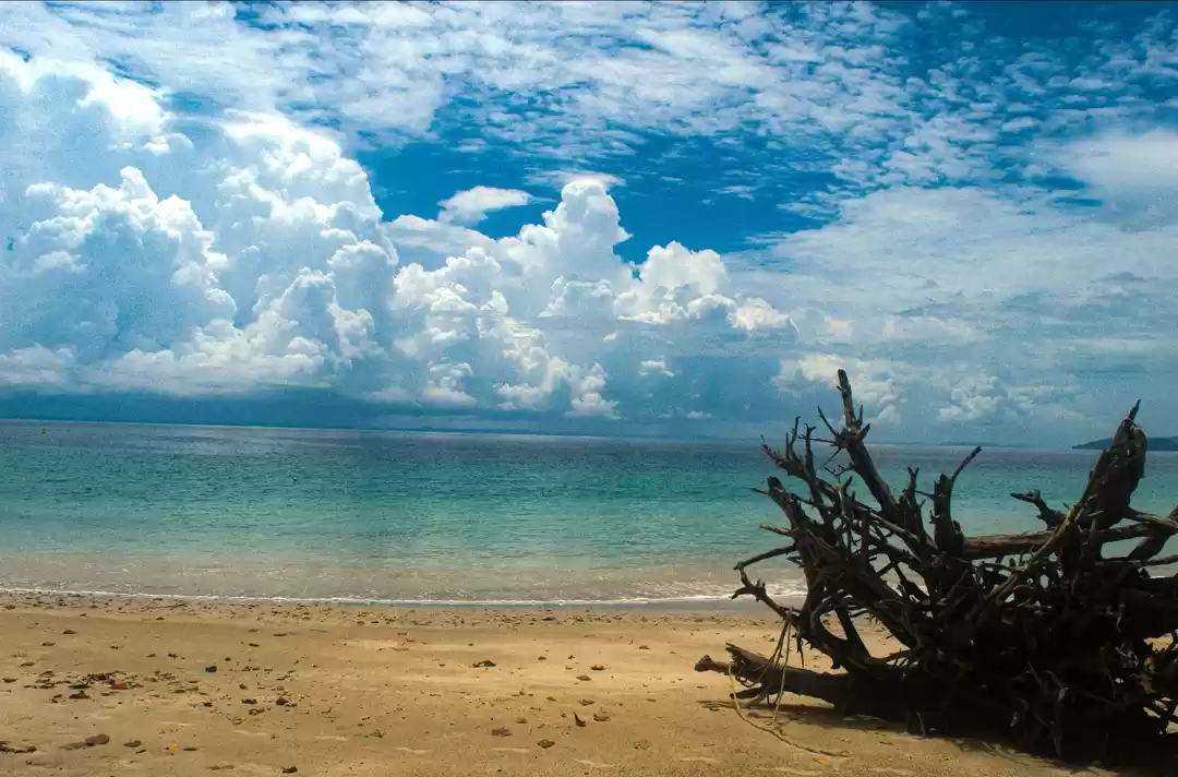 Photo of Elephant Beach, Anda