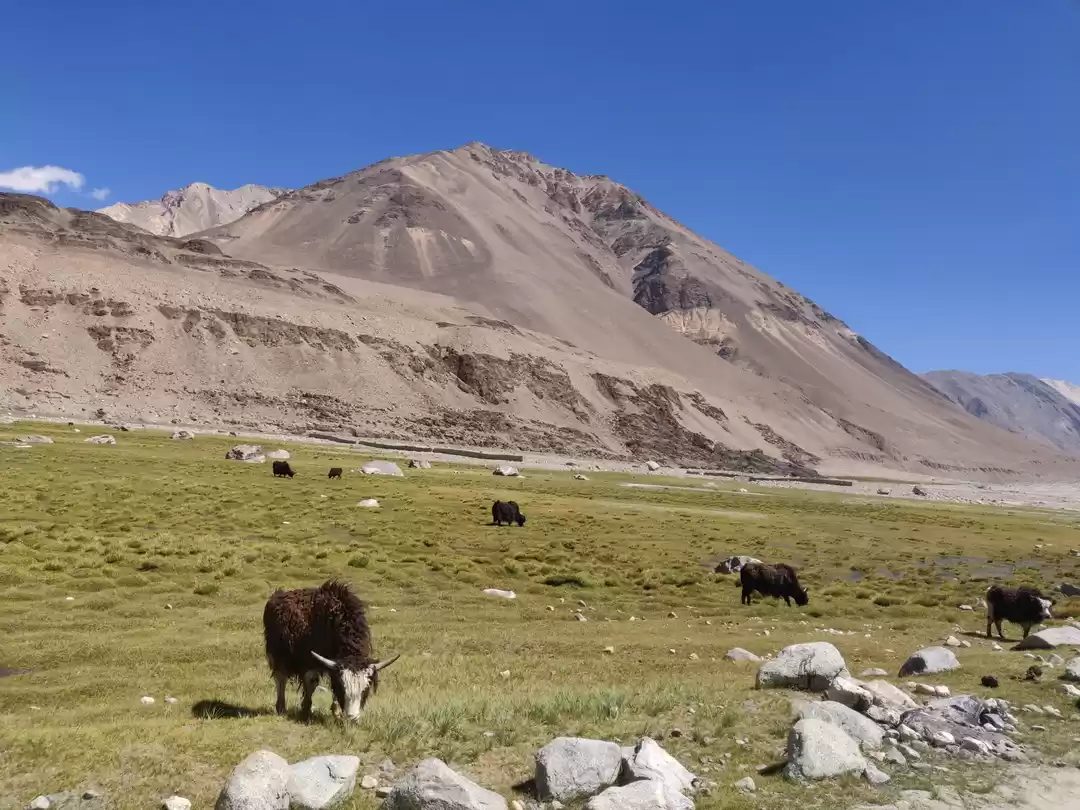 Photo of Jannat-e-Ladakh & Ka