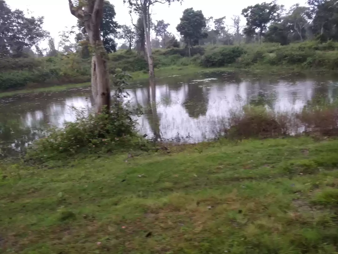 Photo of TRIP TO BANDIPUR PAR