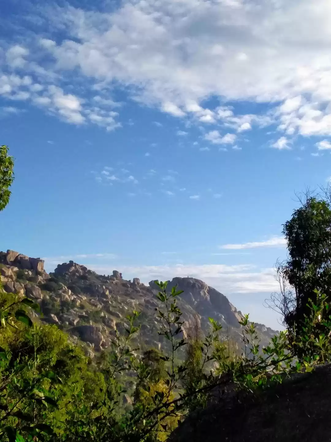 Photo of # TOP FIVE PLACES TH