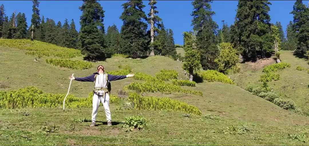 Photo of By the end of this t