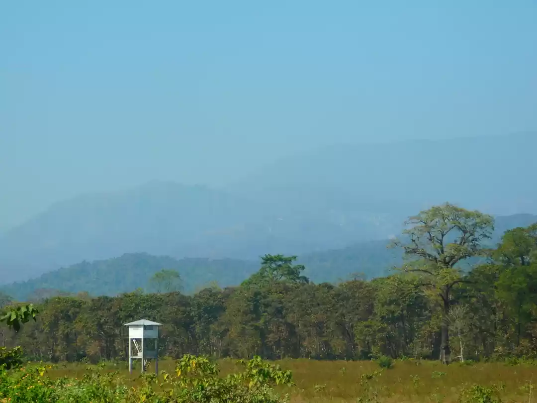 Photo of Buxa Tiger Reserve w