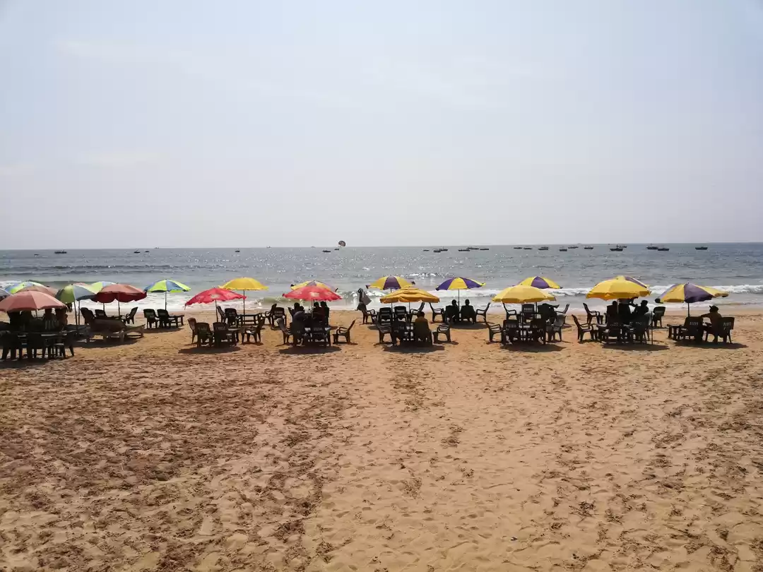 Photo of Raid in Goa. #ThatOn