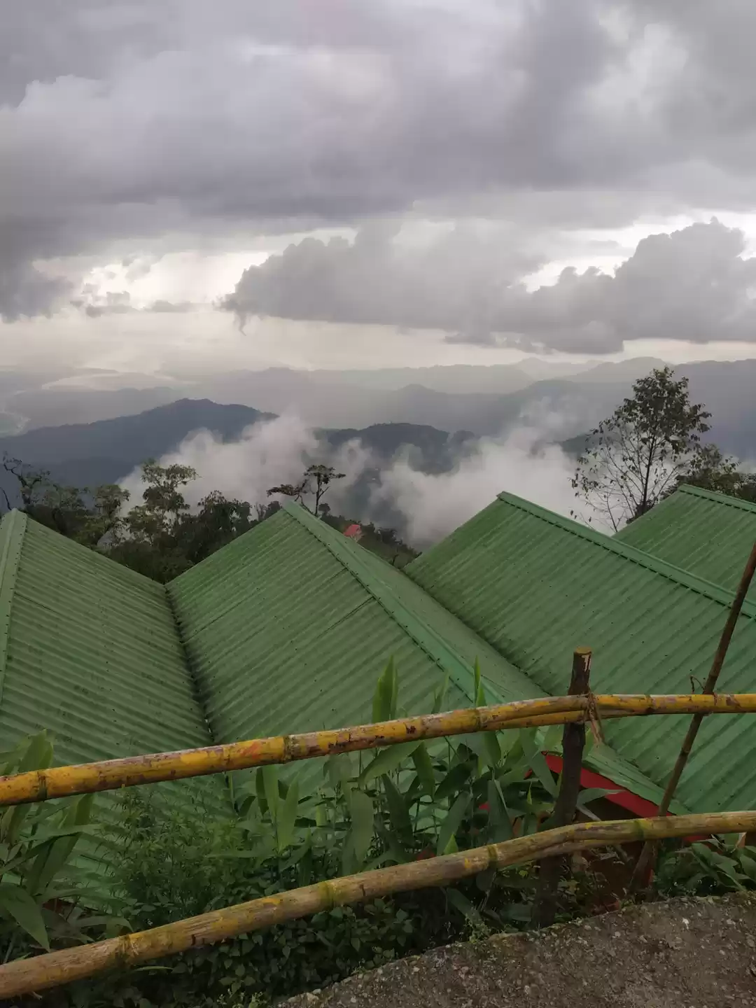 Photo of Unknown Curves on Kn