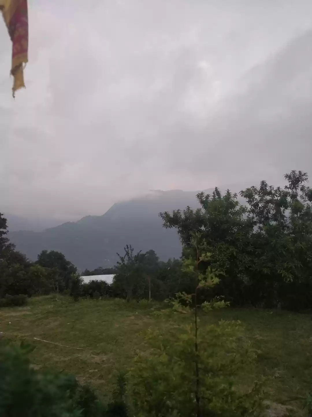 Photo of Living by Faith