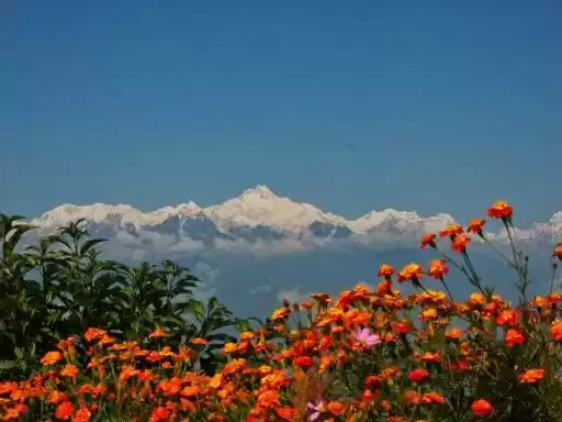 Photo of An Unpredictable Ins