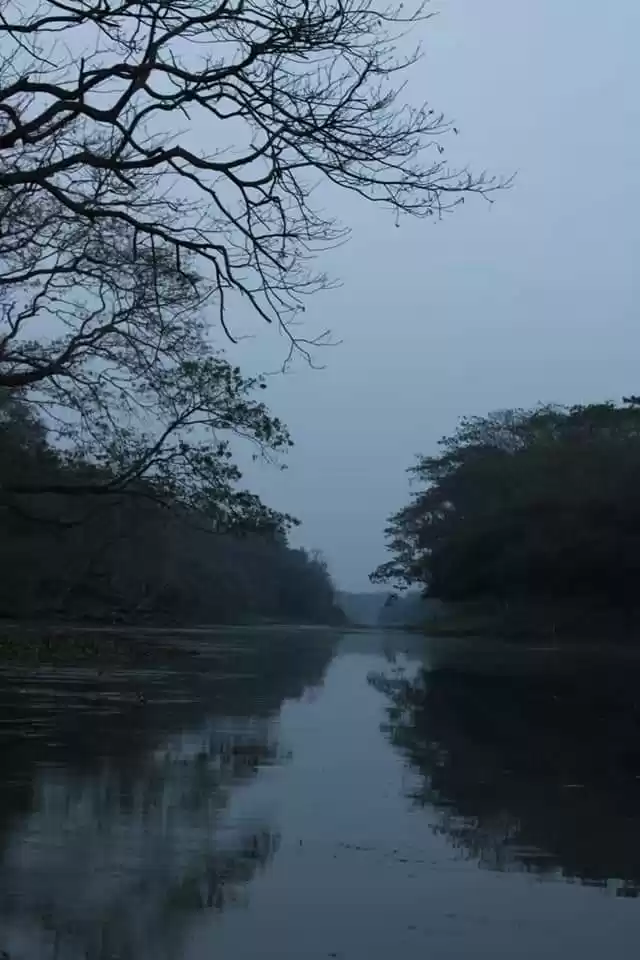 Photo of The Haunted Camp