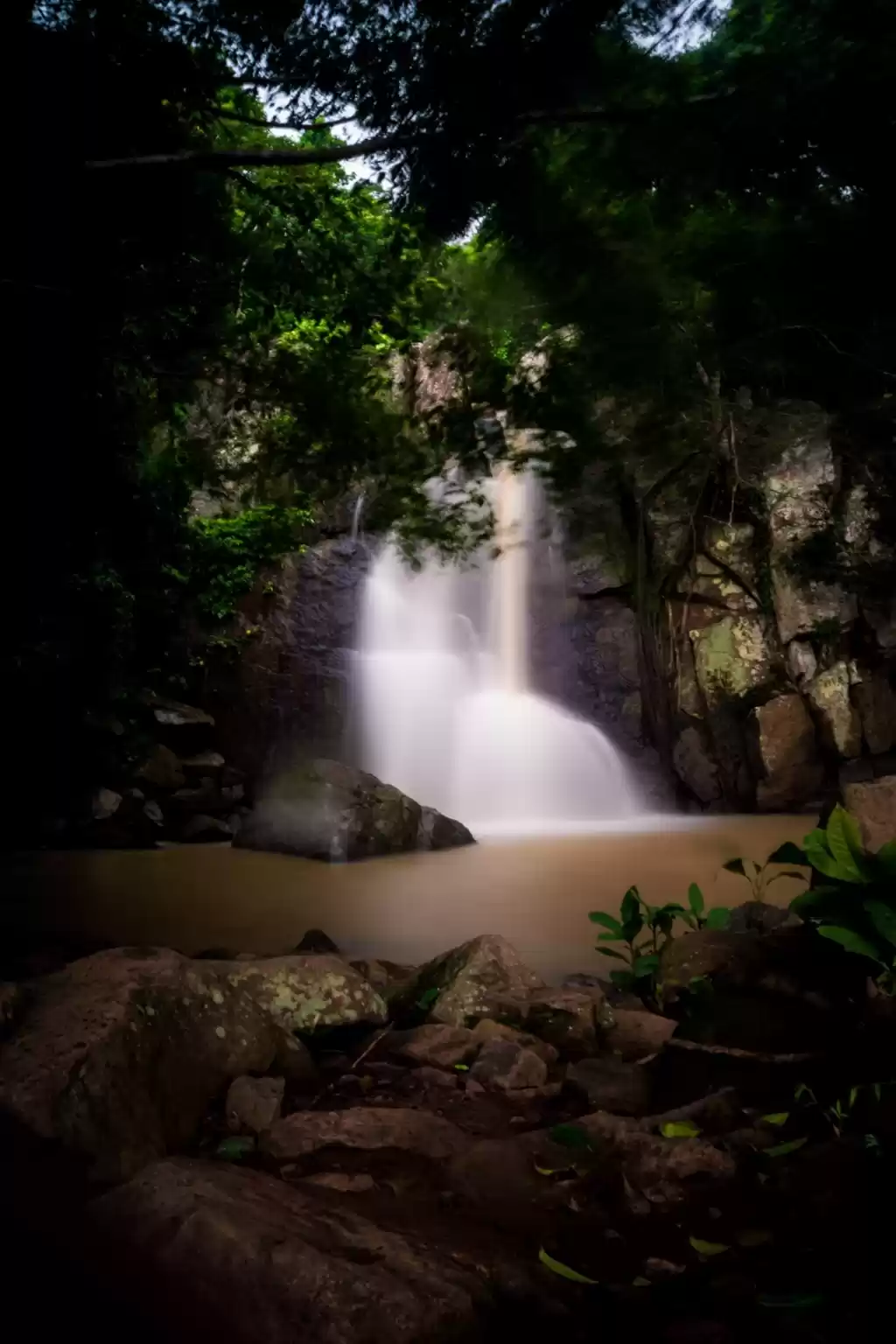 Photo of A trip to Daringbadi
