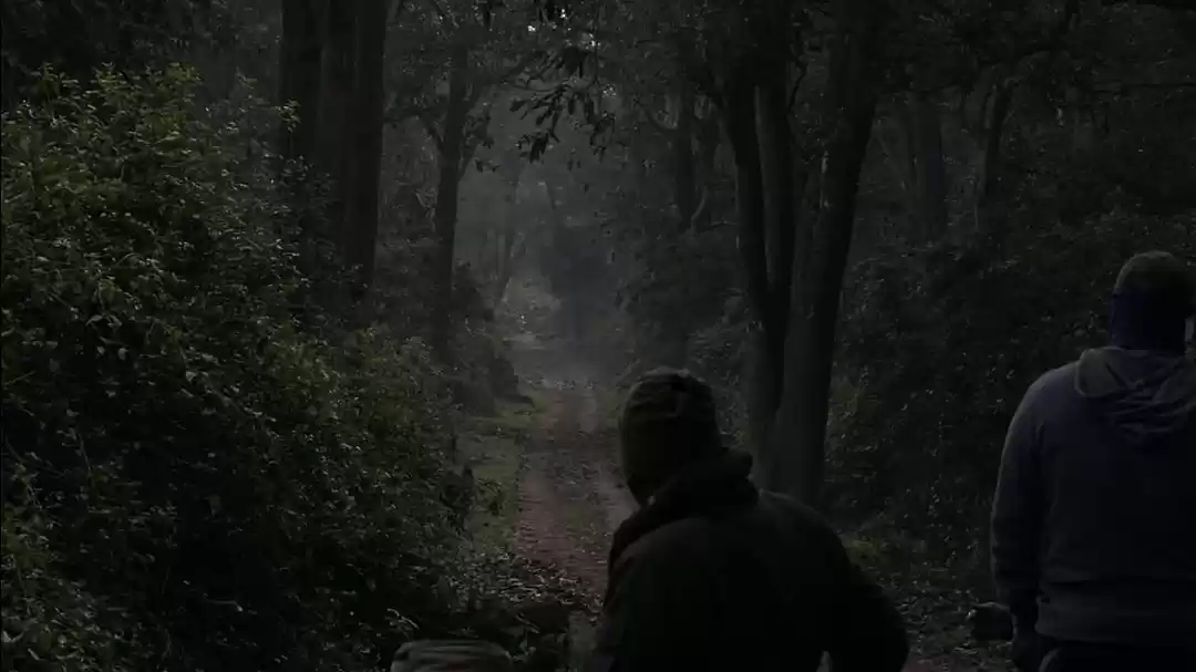 Photo of The tiger in the jun