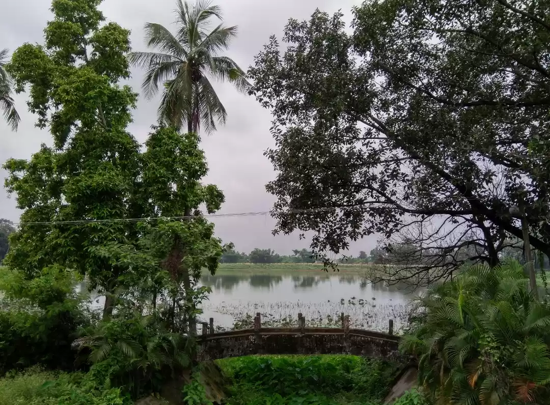 Photo of पूर्णियाँ की पसंदीदा