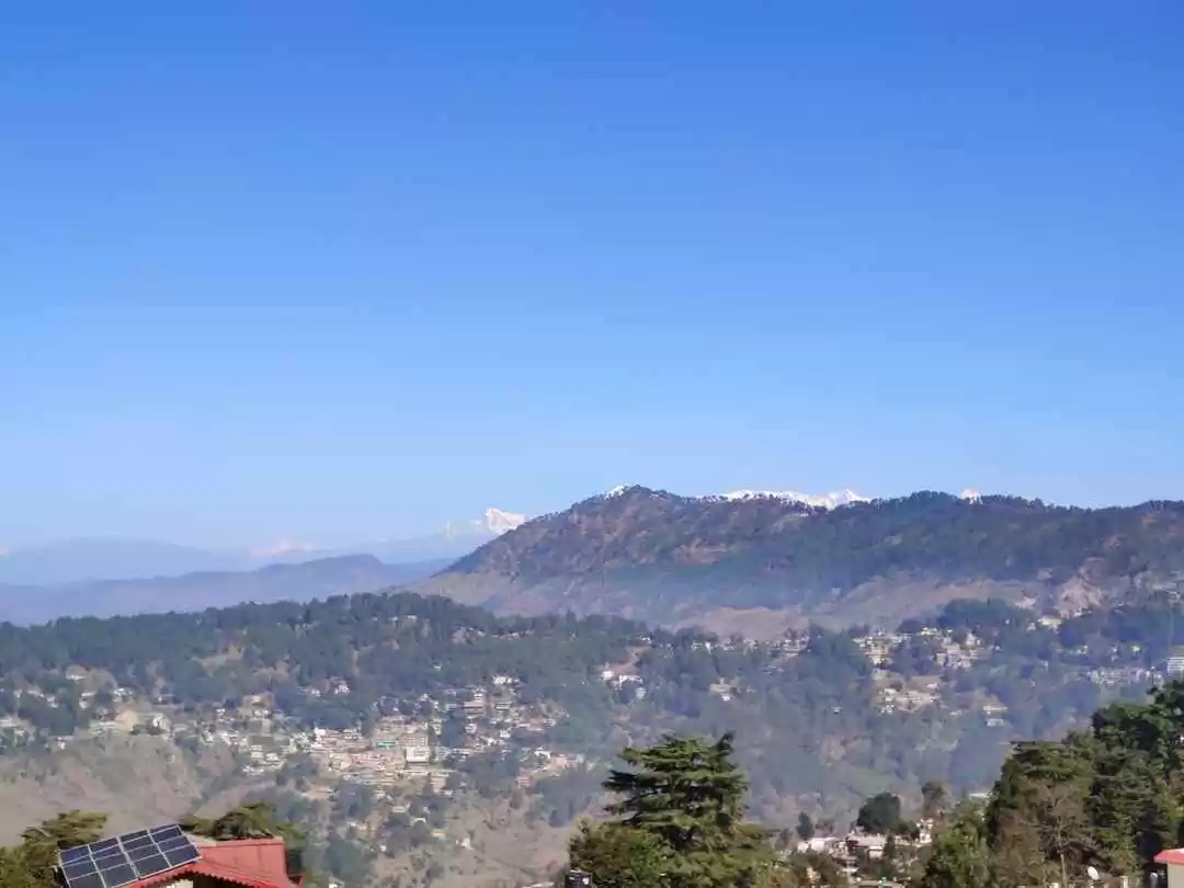 Photo of Almora Locals 200+ y