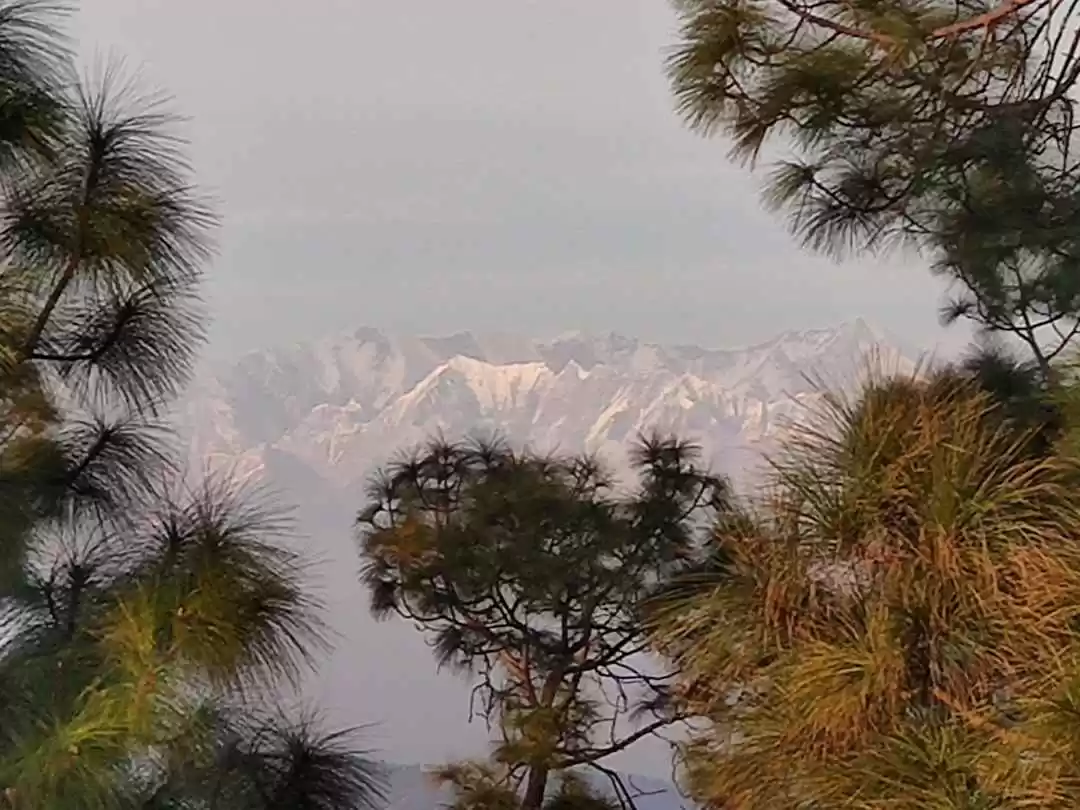 Photo of Chitai and Kasara De