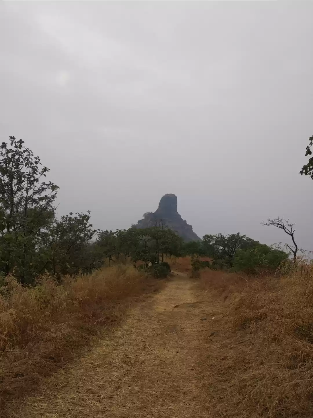 Photo of Karnala fort - perfe