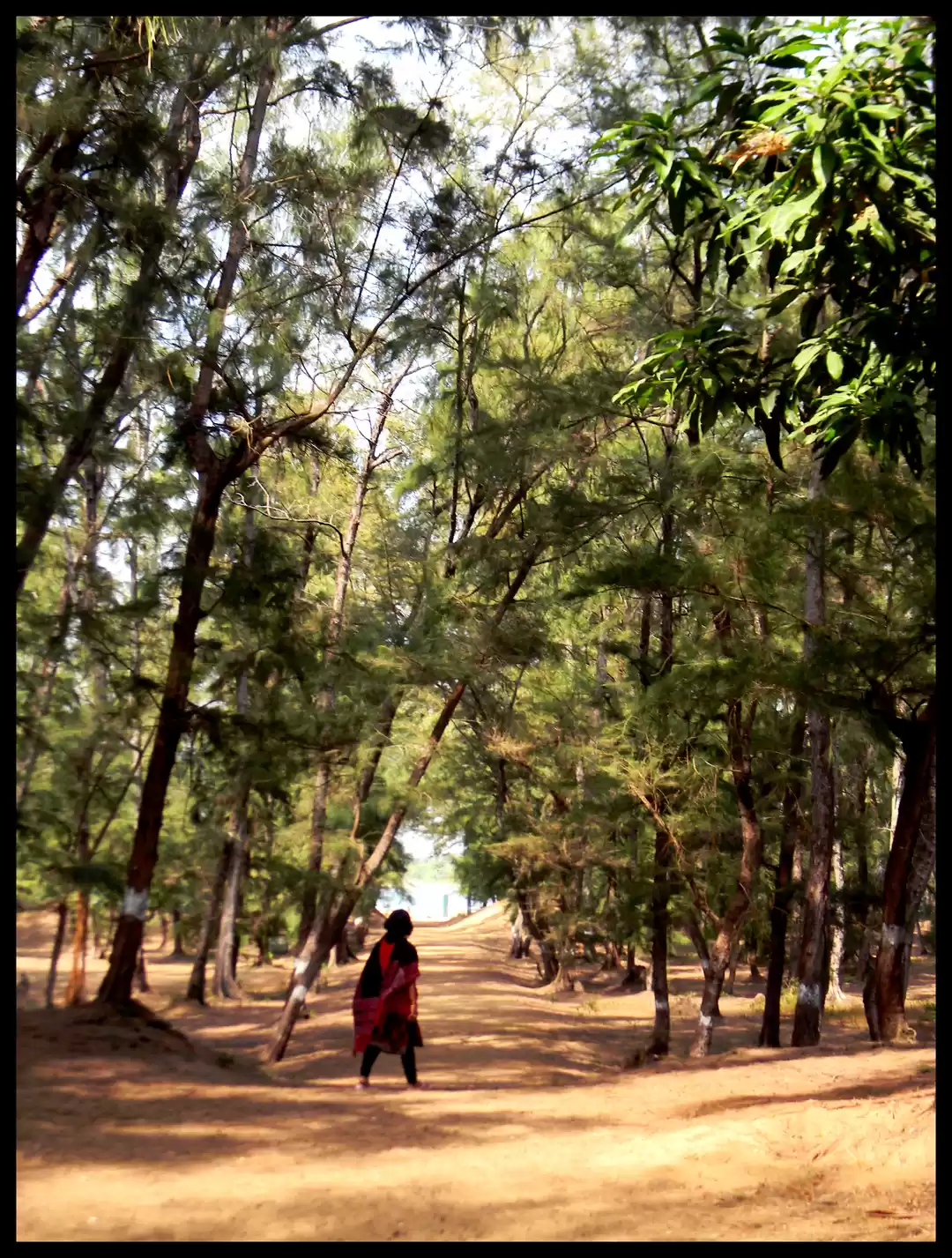 Photo of NOW is the time to t